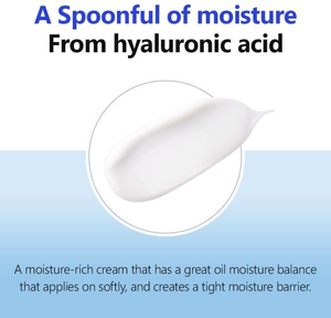 Isntree HYALURONIC ACID MOIST CREAM_100ml